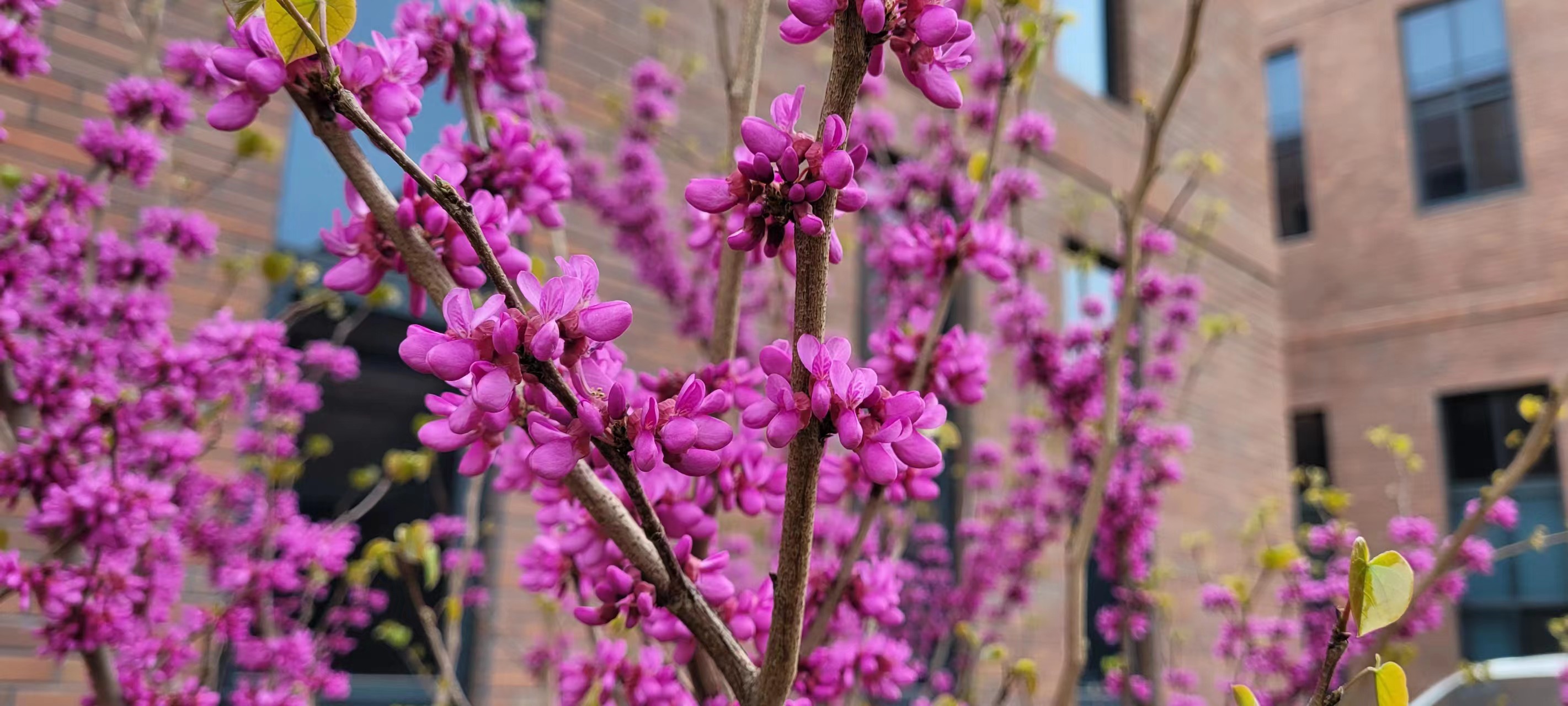 �L(ch��ng)�ſƼ��a(ch��n)�I(y��)�@