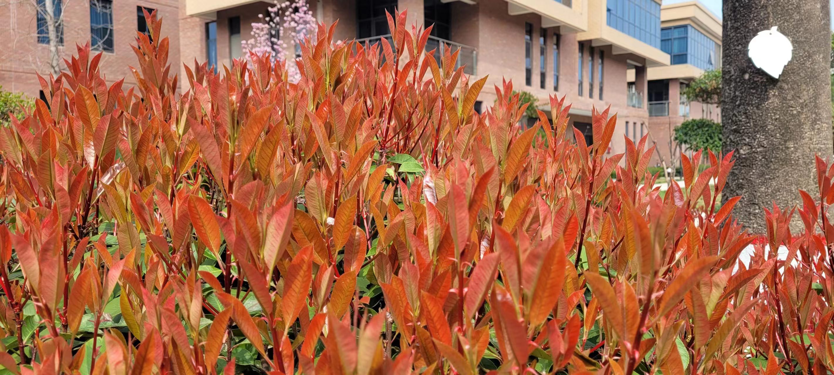 �L(ch��ng)�ſƼ��a(ch��n)�I(y��)�@