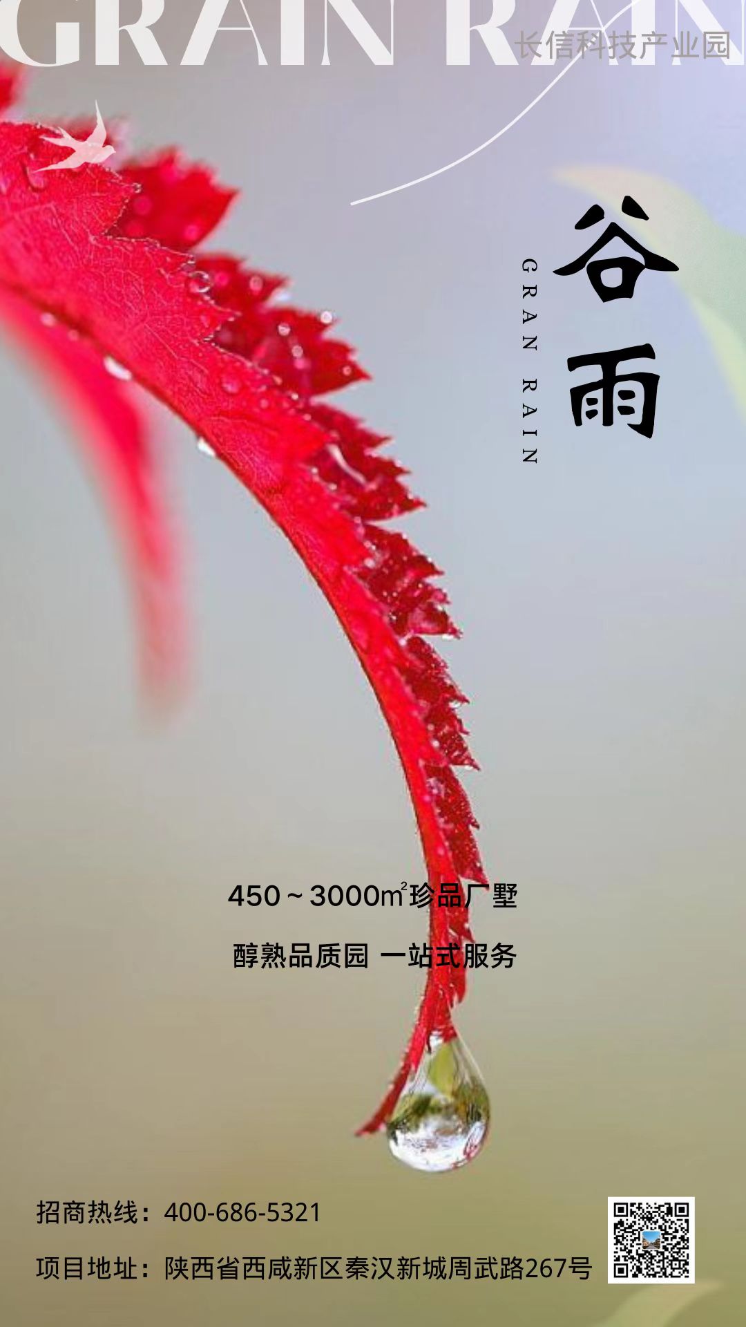 �ꝙ��������ò��ڶ���